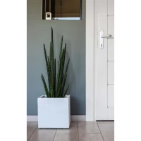 EDA Bac a fleurs carré GRAPHIT UP - 21 L - 29,5 x 29,5 x 29,5 cm - Blanc cérusié(m-4)