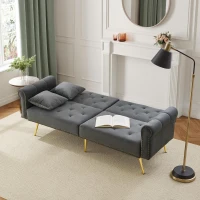 2-Seater Modern Sofa Bed with Velvet Upholstery and Adjustable Backrests, Daybed Perfect for Living Room, 177L x 74W x 71H cm, Gray(m-9)