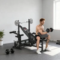HOMCOM Banc de musculation multifonction réglable - pupitre à biceps, repose barre curl, poignées à Dips, module extension bras jambes, résistance horizontale - acier noir(m-8)