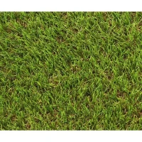 Gazon - EXELGREEN - 124414 - Natura 2D - 38mm / 1 x 5 m(m-1)