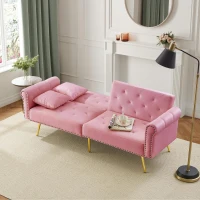 2-Seater Modern Sofa Bed with Velvet Upholstery and Adjustable Backrests, Daybed Perfect for Living Room, 177L x 74W x 71H cm, Pink(m-9)