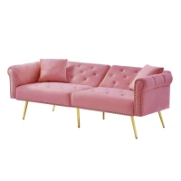 2-Seater Modern Sofa Bed with Velvet Upholstery and Adjustable Backrests, Daybed Perfect for Living Room, 177L x 74W x 71H cm, Pink(m-13)