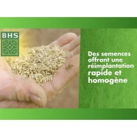 Gazon - BHS -  Gazon Regarnissage 1kg(m-6)