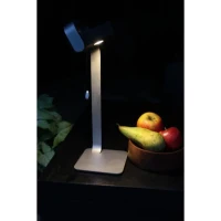 Lampe de table solaire - Easy - Gris - Aluminium - LED - 30 lumens(m-3)