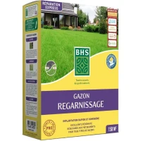 Gazon - BHS -  Gazon Regarnissage 3kg(m-1)