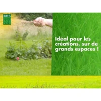 Gazon - BHS - 1er prix Eco - 10 kg(m-2)