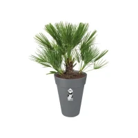 ELHO Pot de fleurs Loft Urban rond Haut - Ø 42 x H 56 cm - Extérieur - 100% recyclé - Noir(m-3)