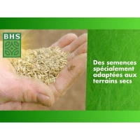 Gazon Regarnissage Terrain Sec - BHS - 3kg | 150 m² | Résistant et durable, avec excellente pérennité et tolérance aux piétinements.(m-3)