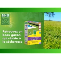 Gazon - BHS -  Gazon Regarnissage 1kg(m-2)