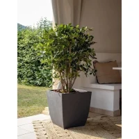 EDA Bac a fleurs Carré DIVA BASALT -  42 L - 43,5 x 43,5 x H.44,2 cm - Bac intérieur amovible - Gris anthracite(m-2)