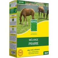 Gazon - BHS - Mélange Prairie 1kg | 40m² | Pour zones extensives et pâturage | Installation rapide, résistant, sans entretien.(m-1)