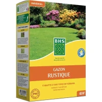 Gazon - BHS - Gazon Rustique 1 KG - Plus résistant et mieux protégé - Rapide et Durable - Tous Types de Terrain et Climats, Robuste(m-1)