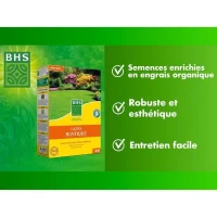 Gazon - BHS - Gazon Rustique 1 KG - Plus résistant et mieux protégé - Rapide et Durable - Tous Types de Terrain et Climats, Robuste(m-2)