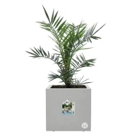 ELHO Bac a fleurs Vivo Next Square 30  - Ø 30 x H 29 cm - Intérieur,Extérieur - 100% recyclé - Gris(m-2)