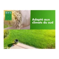 Gazon rustique BHS Capacité 10 KG(m-3)