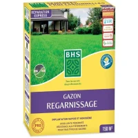 Gazon - BHS -  Gazon Regarnissage 3kg(m-2)