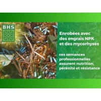 Semence de Gazon Anglais BHS - 3kg pour Jardins Haut de Gamme(m-2)