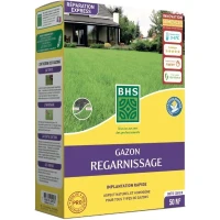 Gazon - BHS -  Gazon Regarnissage 1kg(m-1)