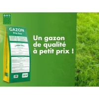 Gazon - BHS - 1er prix Eco - 10 kg(m-3)