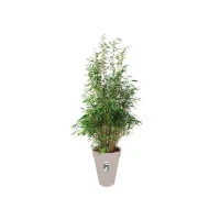 ELHO Pot de fleurs rond Loft Urban Haut 42 - Gris - Ø 42 x H 56 cm - Extérieur(m-2)