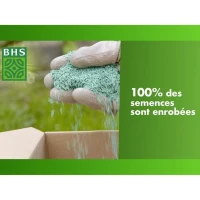 Gazon - BHS - Gazon Soleil 1kg |  Résistant au climat méditerranéen et a la sécheresse(m-2)