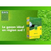 Kikuyu - BHS - 300g | 25 m² | Zones méditerranéennes | Résistant aux fortes chaleurs et aux piétinements.(m-3)