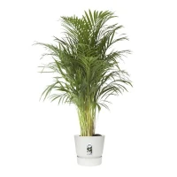 ELHO Pot de fleur GREENVILLE - Ø 47 x H 44,1 cm - 100% recyclé - Blanc(m-5)