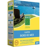 Gazon - BHS - Gazon Bord de Mer 1kg | 40m² | Résistant vent, sécheresse, salinité | Beau gazon d'été, esthétique et robuste.(m-1)