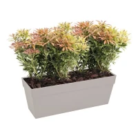 ELHO Bac a fleurs/jardiniere Loft Urban - 49 x 17,3 x 18 cm - Blanc(m-2)