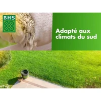 Gazon - BHS - Gazon Rustique Sud - 10kg - Résistant aux conditions seches grâce a la fétuque élevée. Rapide et homogene.(m-3)
