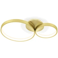 HOMCOM Candeeiro de Teto LED 40W Candeeiro Moderno com Iluminação LED 3000K/4000K/6500K 59x38x7,4 cm Dourado(m-10)