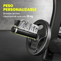 HOMCOM Banco de Pesas Multifuncional Banco de Musculación Reclinable con Altura Ajustable para Fitness Entrenamiento Completo en Gimnasio y Casa Carga 250 kg 175x110x202 cm Negro(m-6)