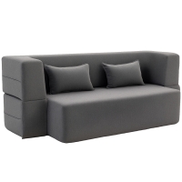 HOMCOM 2-Seater Foam Sleeper Sofa, Sofa Bed with Wide Armrests, 2 Cushions, 360 kg Load Capacity, Gray