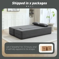 HOMCOM 2-Seater Foam Sleeper Sofa, Sofa Bed with Wide Armrests, 2 Cushions, 360 kg Load Capacity, Gray(m-5)