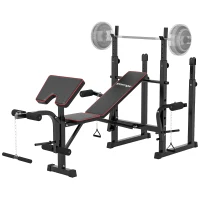 SPORTNOW Weight Bench with Two Barbell Racks, Leg Curl Machine, Preacher Curl Bench, Black(m-10)