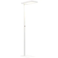 HOMCOM Lámpara de pie para salón LED regulable espectro completo para cuidado ocular mando a distancia 60 x 32 x 196 cm blanco(m-6)