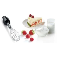 Mixeur Plongeant BOSCH ErgoMixx MSM67160 – Puissance de 750 W – Mini-hachoir et fouet inclus - Noir(m-6)