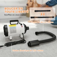 PawHut Secador de Pelo para Cães 2200W com 3 Bicos Baixo Ruído Branco(m-4)