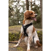 Harnais pour chien - SYMBIOZ - XXS - Noir / Bleu(m-3)