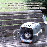 Panier de transport pour chats et petits 5kg chiens JET 10 32x47x29 - Plastique - FERPLAST(m-4)