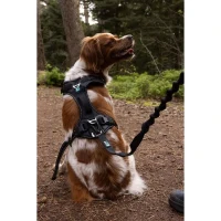 Harnais pour chien - SYMBIOZ - XXS - Noir / Bleu(m-6)