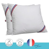 DODO Lot de 2 oreillers Tendance - 60 x 60 cm - Garnissage 100% Polyester fibre creuse siliconée - Blanc(m-1)