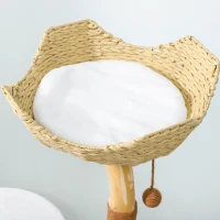 PawHut Arranhador para Gatos com Casa Plataforma Arranhador e Almofada Lavável 55x45x102 cm Branco(m-4)