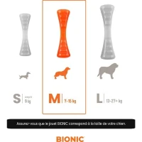 Jouet pour chien - BIONIC - Bâton Urban stick - Taille Medium 23 cm - En caoutchouc ultra résistant - sans plomb, BPA ni phtalates(m-2)