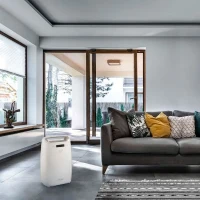 Déshumidificateur Delonghi DEXD214RF(m-2)