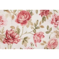 Parure de lit - 1 housse de couette 220 x 240 cm + 2 taies d'oreiller 60 x 60 cm - 65% coton, 35% polyester - Creme(m-6)