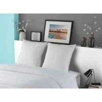 DODO Oreiller LUXOR 60x60 cm - 100% Coton - Effet Duvet(m-4)