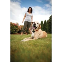 PetSafe - Systeme de Clôture Anti-fugue avec Fil pour Chien de plus 3,6 Kg – Avertissement Sonore/Eléctrostatique,Facile a(m-2)