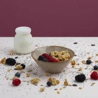 Yaourtiere HKoeNIG - ELY120 - Capacité 12 pots de 160ml - Programmable jusqu'a 15h - 15W(m-4)