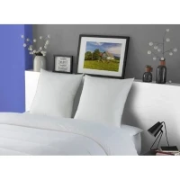 DODO Lot de 2 Oreillers MERIBEL Plumettes 60x60cm(m-3)